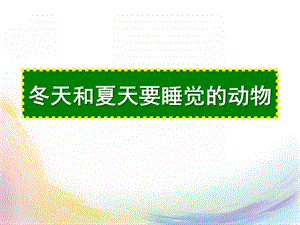 幼儿园《冬天和夏天要睡觉的动物》PPT课件冬天和夏天要睡觉的动物.ppt