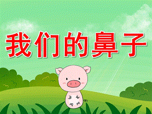 大班健康《我们的鼻子》PPT课件教案PPT课件.ppt