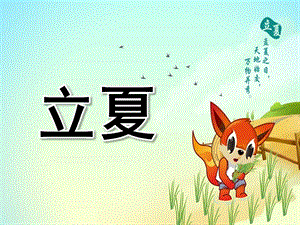 幼儿园立夏PPT.ppt