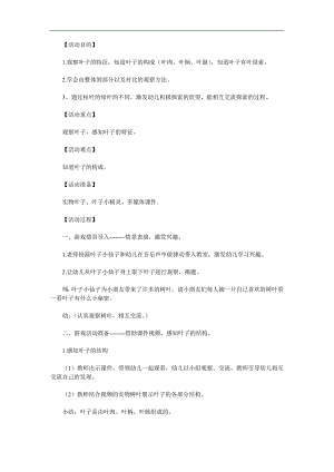 大班科学《叶子的秘密》PPT课件教案参考教案.docx