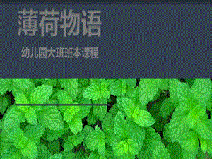幼儿园大班班本课程《薄荷物语》PPT课件幼儿园大班班本课程《薄荷物语》PPT课件.ppt