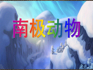 幼儿园南极动物PPT课件ppt课件.ppt