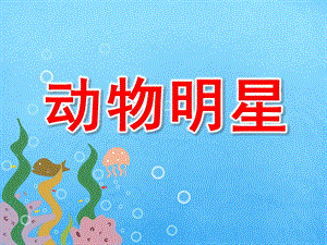 大班社会《动物明星》PPT课件教案大一班-动物明星.ppt
