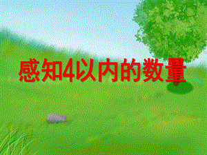 小班数学《感知4以内的数量》PPT课件教案PPT课件.ppt