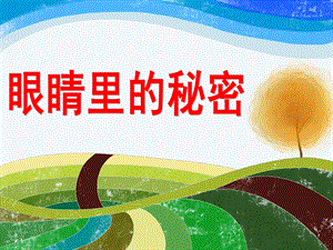 幼儿园健康活动《眼睛里的秘密》PPT课件ppt课件.ppt