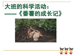 大班科学活动《番薯成长记》PPT课件大班课题科学活动《番薯成长记》.ppt