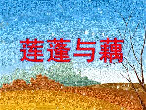 大班科学《莲蓬与藕》PPT课件莲蓬与藕.ppt