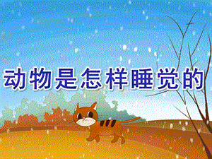 大班科学《动物是怎样睡觉的》PPT课件教案小动物是怎样睡觉的.ppt