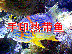 小班美术《手印热带鱼》PPT课件教案小班美术《手印热带鱼》.ppt