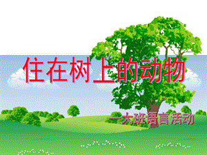 大班语言《住在树上的动物》PPT课件教案住在树上的动物--幼儿园大班语言教育活动.ppt