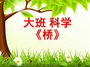 大班科学《桥》PPT课件教案大班科学《桥》.ppt