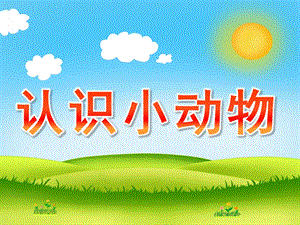 幼儿园《认识小动物》PPT课件教案PPT课件.ppt