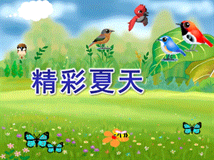 大班音乐《精彩夏天》PPT课件教案精彩夏天课件.ppt