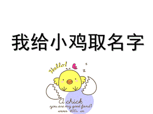小班语言《我给小鸡取名字》PPT课件教案我给小鸡取名字.ppt