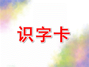 大班《识字卡》PPT课件大班识字卡.ppt