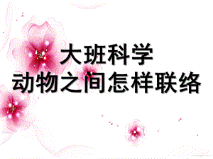 大班科学《动物之间的联络》PPT课件教案大班科学《动物之间怎样联络》.ppt
