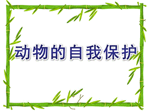 大班科学《动物的自我保护》PPT课件教案003d31cdf12d2af90342e682.ppt