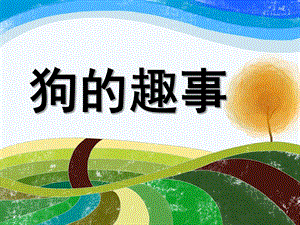 大班主题活动《狗的趣事》PPT课件狗的趣事.ppt