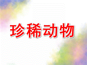 大班社会活动《珍稀动物》PPT课件教案幼儿科学：珍稀动物课件.ppt