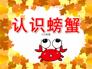 大班科学《认识螃蟹》PPT课件教案PPT课件.ppt