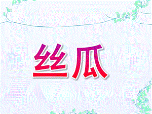 大班美术《丝瓜》PPT课件教案丝瓜.ppt