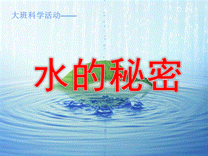 大班科学活动《水的秘密》PPT课件教案水的秘密.ppt