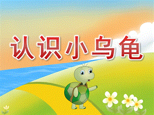 小班科学《认识小乌龟》PPT课件教案歌曲PPT课件.ppt