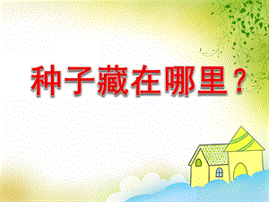 大班科学《种子藏在哪里？》PPT课件大班科学《种子藏在哪里？》PPT课件.ppt