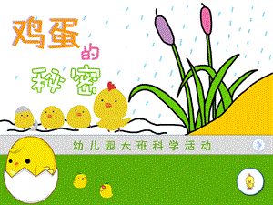 大班科学《鸡蛋的秘密》PPT课件教案PPT课件.ppt