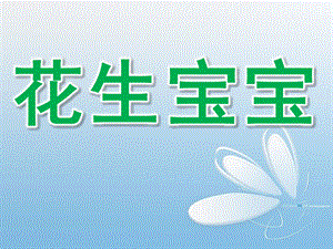 大班科学《花生宝宝》PPT课件花生宝宝.ppt