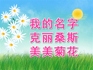 大班语言情景阅读《我的名字克丽桑斯美美菊花》PPT课件教案视频音频PPT课件.ppt
