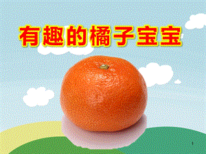 有趣的橘子宝宝PPT课件教案有趣的橘子宝宝橘子宝宝ppt课件.ppt