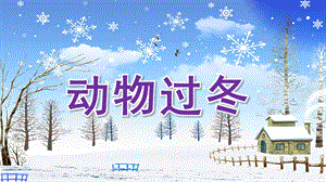 大班科学《动物过冬》PPT课件教案微课件.ppt