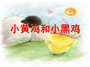 小班语言《小黄鸡和小黑鸡》PPT课件小黄鸡和小黑鸡(PPT.ppt