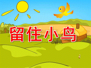 大班语言《留住小鸟》PPT课件教案配音音乐ppt课件.ppt