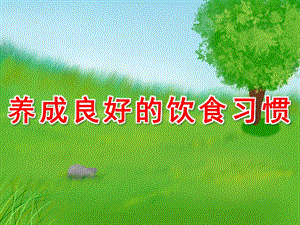 大班健康《养成良好的饮食习惯》PPT课件教案PPT课件.ppt