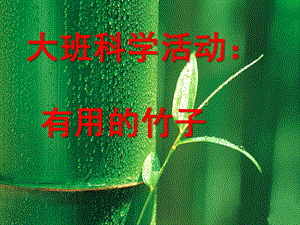 大班科学活动《有用的竹子》PPT课件教案幼儿园大班科学活动：有用的竹子.ppt