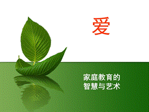 幼儿园讲座家庭教育PPT课件家庭教育讲座课件.ppt
