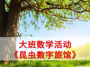大班数学活动《昆虫数字旅馆》PPT课件教案大班数学活动《昆虫旅馆》.ppt