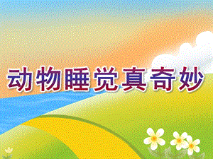 中班科学《动物睡觉真奇妙》PPT课件教案动物睡觉真奇妙.pptx
