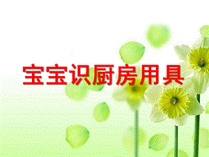 小班《宝宝识厨房用具》PPT课件ppt课件.pptx