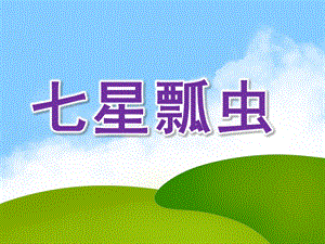 大班主题《七星瓢虫》PPT课件教案大班七星瓢虫.pptx