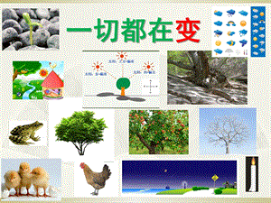 大班社会《一切都在变》PPT课件教案一切都在变.pptx