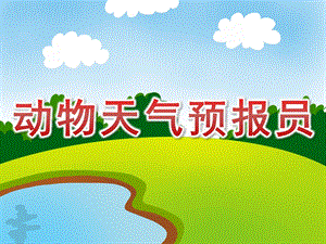 大班《动物天气预报员》PPT课件教案PPT课件.pptx