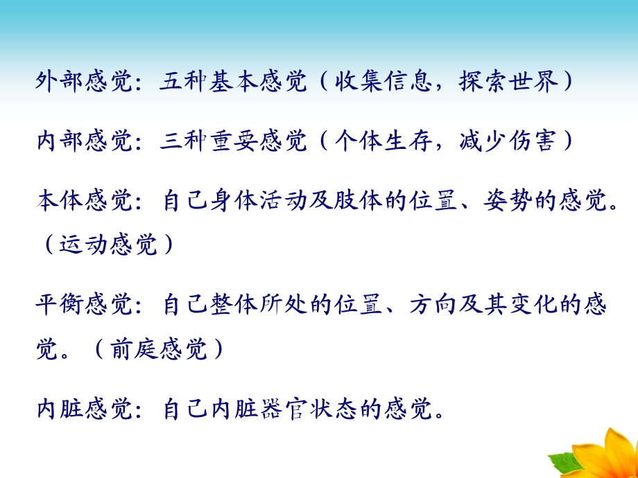 幼儿感知觉的发展PPT课件ppt.ppt_第3页