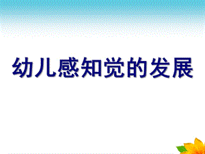 幼儿感知觉的发展PPT课件ppt.ppt