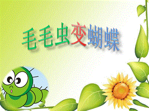 小班《毛毛虫变蝴蝶》PPT课件教案毛毛虫变蝴蝶.pptx