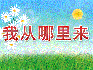 大班《我从哪里来》PPT课件教案PPT课件.pptx