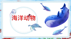 中班科学《海洋动物》PPT课件幼儿园海洋科普.pptx