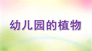 大班语言《幼儿园的植物》PPT课件大班语言：幼儿园的植物.pptx